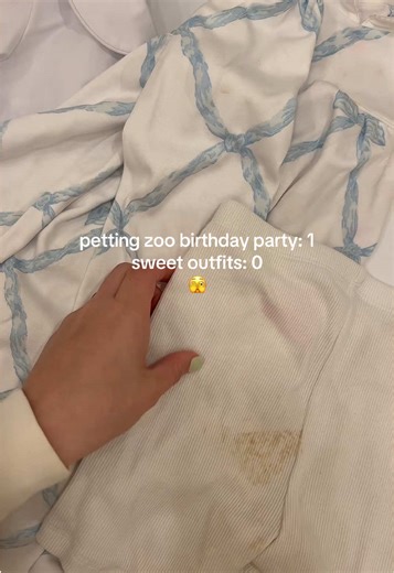 Petting Zoo Birthday Party Essentials