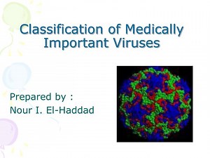 Classification of Medically Important Viruses - SlideServe
