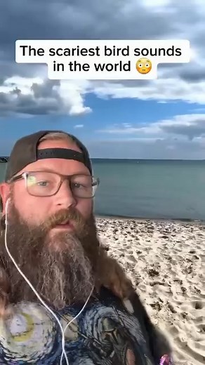 34K views · 692 reactions | Weirdest Bird Sounds EVER! #fyp #fypシ #fypage #fypシ❤️❤️ #fypchallenge #fyppage #sound #sounds #weird #weirdsounds #weirdcore #weirdmemes #bird #birds #birdlovers #birdfreaks #birdsounds #birdphotography #birds #birdlover #a | Beardoh Weirdoh - Fans | Facebook