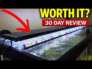 SEAOURA LED Aquarium Light Review — 1 Month Planted Tank Test
