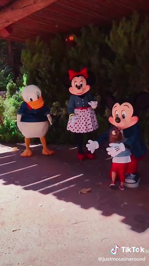 Meeting Talking Mickey, Minnie & Donald at Disneyland