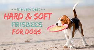 6 Best Hard & Soft Frisbees For Dogs: Catch That Flying Disk!