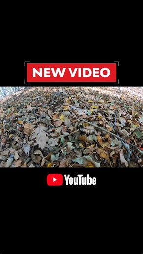 New video is LIVE on The Push Archery YouTube Channel!! - We are kicking off our hunting content with @theoutdoorartist chasing whitetails with a flint knapped arrowhead!!! - Make sure to subscribe to the channel so you don’t miss a thing this season!! - #traditionalarchery #archery #traditionalbowhunting #bowhunt #bowhunting #recurves #longbows #getprimal | The Push Archery