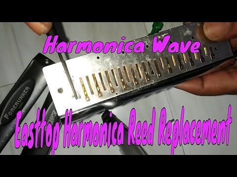 Chromatic Harmonica Repairing I Harmonica Servicing I Harmonica Servicing I Harmonica Reed Replaced