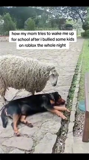 How My Mom Wakes Me Up After Roblox All-Nighter