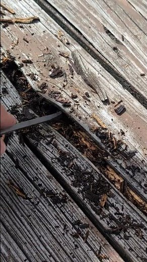 Don’t Replace Rotted Wood! Do This Instead 🛠️