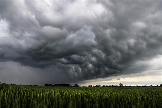 Code geel: KMI waarschuwt voor onweersbuien die lokaal erg fel kunnen zijn