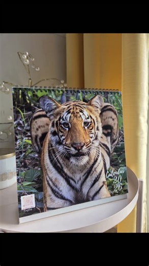 Presenting the 2026 Jungles of India Wildlife Calendar! I’m thrilled to share that, as always, 100% of all sales will be donated to support animal welfare. This year, the proceeds will go to the wonderful PAL Foundation @palfoundation.in , an organisation dedicated to rescuing and caring for street animals in Mumbai and across India. The 8×8 calendar features a curated selection of my wildlife photographs captured over the years, and is priced at ₹500, including courier charges. This is a charit