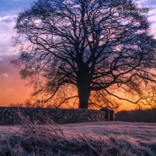 14K views · 277 reactions | This I Promised You❤️ #nsync With lyrics | All time song hits | Facebook