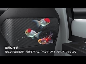 車載ディスプレイ用加飾カバーガラス