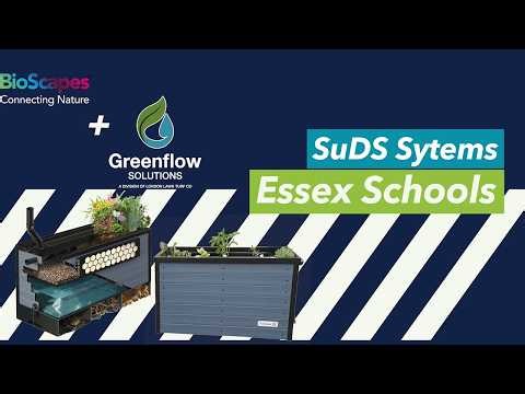 Bioscapes® SuDS Install - Essex Schools
