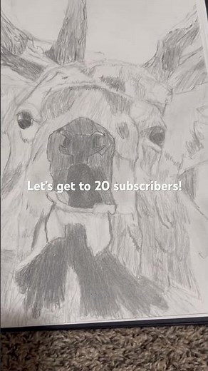 Quick Elk Sketch! (Realistic)