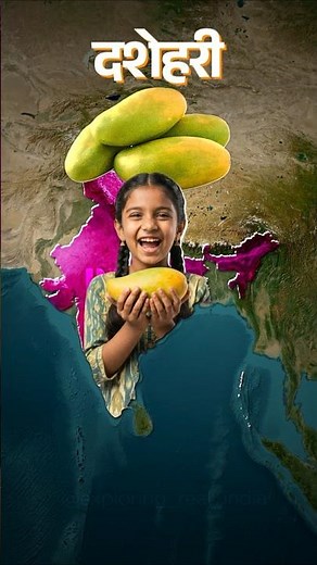 Famous Mango Variety from India! #india #mangos