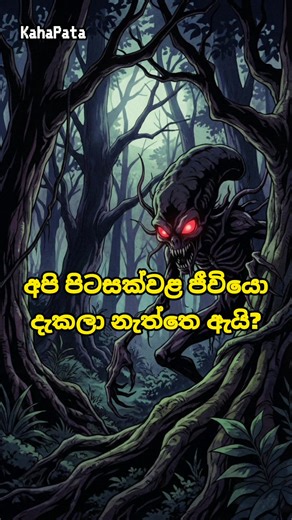 පිටසක්වළ ජීවියෝ හා Dark Forest Theory