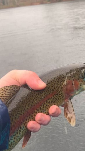 William Roberts on Reels