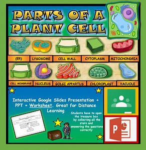 Parts Of A Plant Cell Powerpoint   Worksheet. Middle School Biology