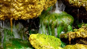 Green Algae (Enteromorpha, Ulva) grows in a small waterfall with salt water, Tiligul estuary, Ukraine Stock Video