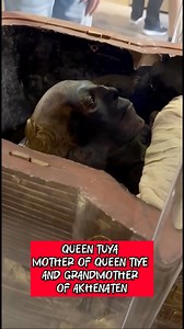 1.4M views · 13K reactions | Queen Tuya — Mother of Queen Tiye and...