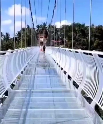 Bali Glass Bridge will coming soon, location at Tegenungan waterfall Bali 📌 Bali Explore Tour ✅Let's explore the amazing places in BaliClick the link for more info :biolinky.co/baliexploretour📌My services includes : Private tours, Sightseeing tours, White water rafting, ATV Quad Bike, Bali safari and marine park, Water sport activities, Tickets to gili island, Nusa Penida and Lembongan, as well as Airport Transfer 👌#Baliexploretour #TravelingInBali#Tripadvisor #BestInBali#BaliHalfdayTour#Bali