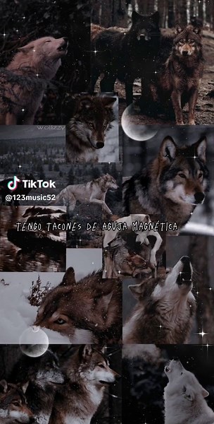 Stunning Wolves in Nature: Howling and Wandering Scenes