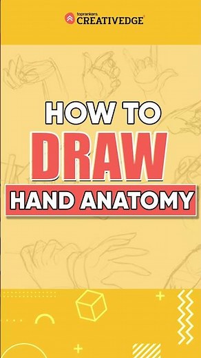 Learn How to Draw Hand Anatomy ✍🏻| Beginner's Step-by-Step Tutorial 🎨| #shorts