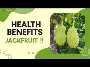 Jackfruit Health Benefits: Know How Jackfruit Can help you loose weight and give you a better health