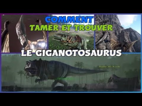 [TUTO ARK] Comment Tamer et Trouver le Giganotosaurus