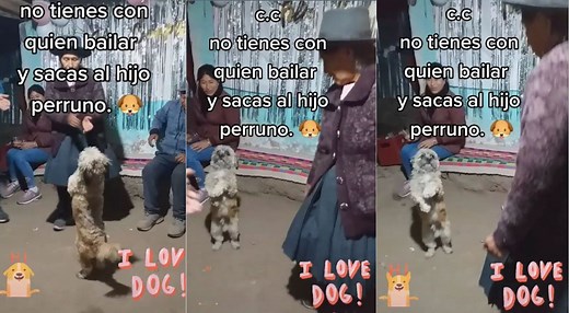 TikTok: perrito es captado bailando huayno con su dueña y es viral - VIDEO