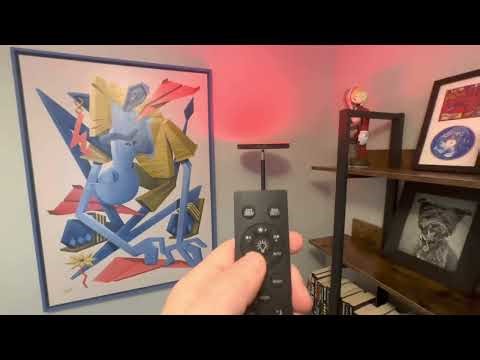 RGB Remote Floor Lamp with App controls