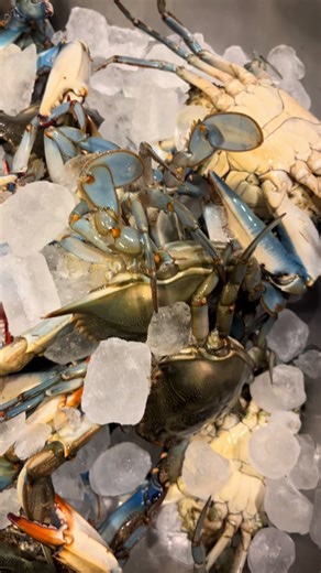 Grilling Blue Crabs: Delicious Backyard BBQ Recipe