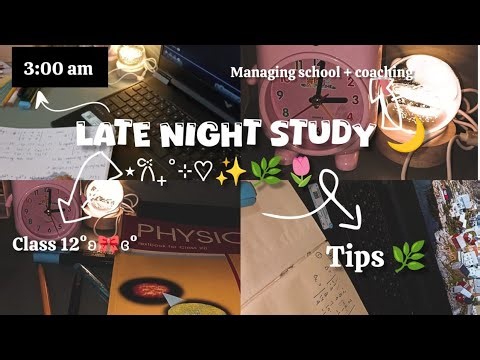 Late Night Study Session 🌙🌷 | 3AM Grind + Real Study Tips 🌿🔥| silent study |class 12