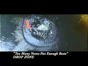 SOUNDTRACK MOVIE [ DROP ZONE ] HANS ZIMMER