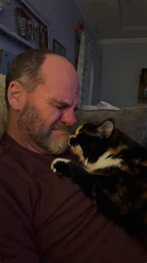 The Shadix Shack on Instagram: "My husband's conversation with my cat Maisie. #cat #cats #catsoffacebook #catsoftiktok #funnyvideos"