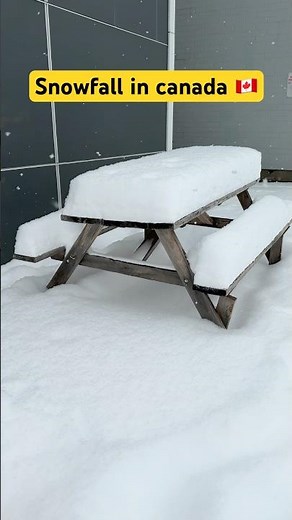 Magical Snowfall in Canada 🇨🇦❄️ | Winter Wonderland