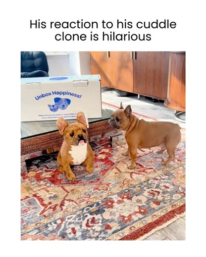 5.7K views · 11 reactions | Cuddle Clones on Reels | Facebook