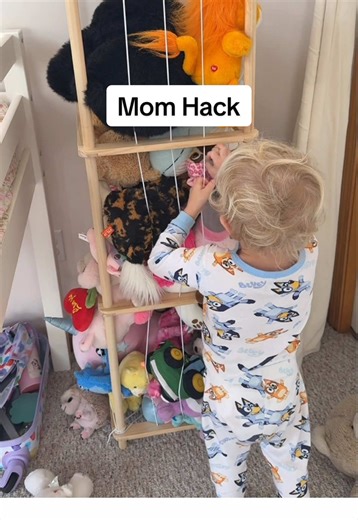 Effective Stuffed Animal Storage for Kids