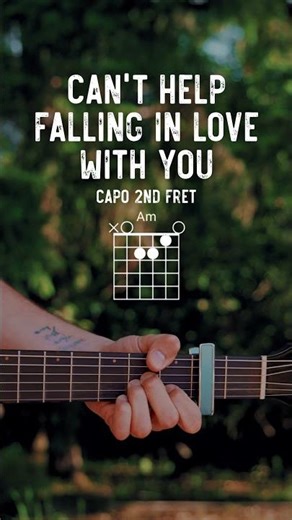 Can't Help Falling In Love With You Guitar Tutorial // Elvis Presley Guitar Lesson