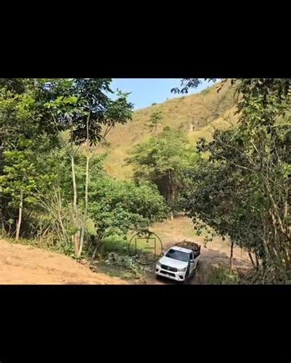 #reels #viral #motivacion #fypシ #fyp | Leo Batres