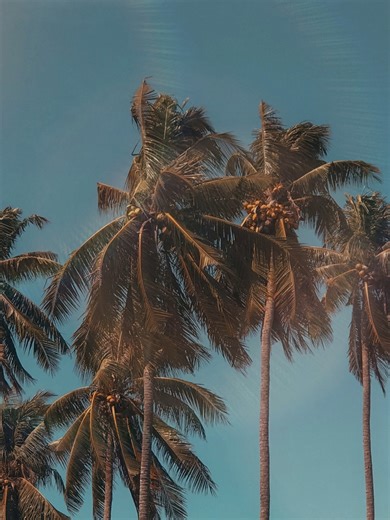 Meet Wave Runner 💫 Retro vibes, modern conscience. Made from Carvico’s sustainable recycled fabric ♻️ buttery-soft, sculpting, and built to last. Bold throwback style with a feel-good footprint 🌈🌊 Fun on the outside. Thoughtful on the inside. This is swimwear with a second life 💙 #secondtideswimwear #ecofashion #plasticswimwear #SecondTide