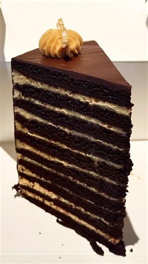 20 LAYER CHOCOLATE AND PEANUT BUTTER CAKE