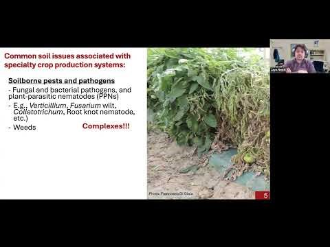 Anaerobic Soil Disinfestation as an Ecological Tool to Regenerate Soil Health