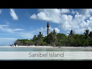 Hunting for sea shells on Sanibel Island. I really wanted to find wentletraps!