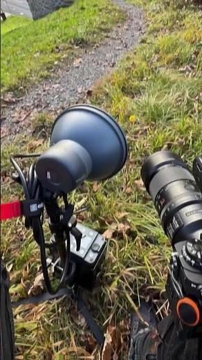 Kreatives Makro-Shooting im Morgarten mit dem Sony 100mm GM Makro und Elinchrom ELB 500