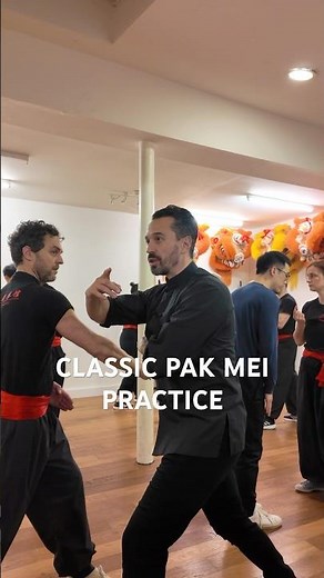 Classic Pak Mei Practice #kungfu #chinesemartialarts #pakmei #sifu