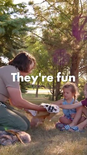 Come spend your summer with us! #summerjob #parks #outdoors #employment #jobs #teens #shorts