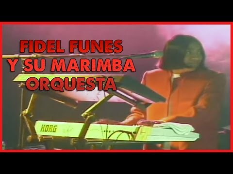 Fidel Funes y su Marimba Orquesta - Concierto De Plata