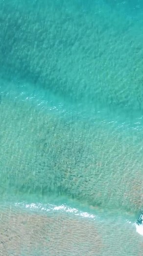 TikTokでおもしろ動画ちゃんさんをチェック！