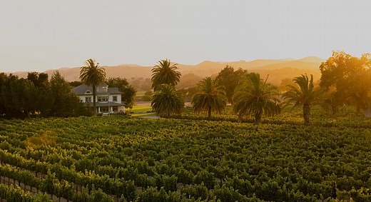 Firestone Vineyard - Foley Food and Wine Society