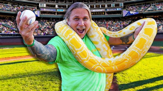 When a Massive Snake Steals the Show at a Baseball Game
