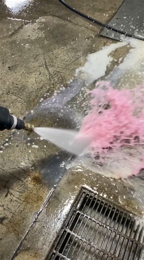 Pokémon Geographic - Ditto: Explore Realistic Pokémon